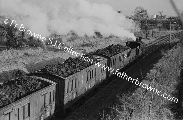 TURF TRAIN NEAR PORTARLINGTON